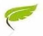 bella-peau.com